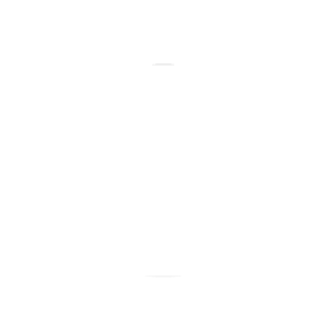 SR Solutions – Custom Programming