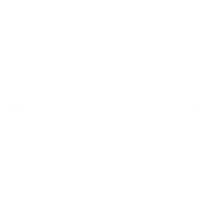 SR Solutions – Custom Programming